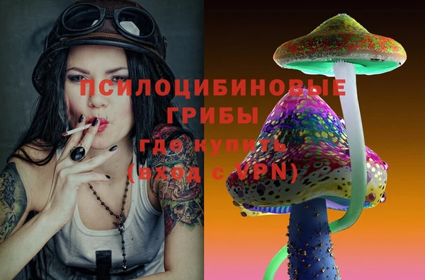 a pvp Абинск