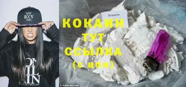 стаф Новозыбков